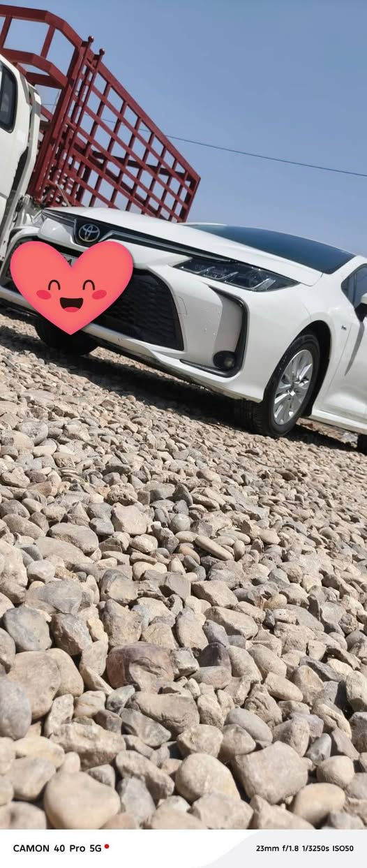 كولا هايبرد موديل 2025
رقم بغداد بسمي
قماره حديد
داخل احمر
ماشيه 6000 قابل للزياده
مرفق سونار
***********
سعر 155
