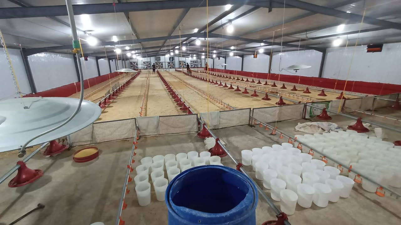 حقل دواجن للبيع
العنوان تلعفر قرية ترمي

مساحة الداخل للقاعه 90×15
مساحة الخارجي الكلي 7250m
جاهز من كلشي
للاستفسار اكثر اتصال على الرقم 
***********
