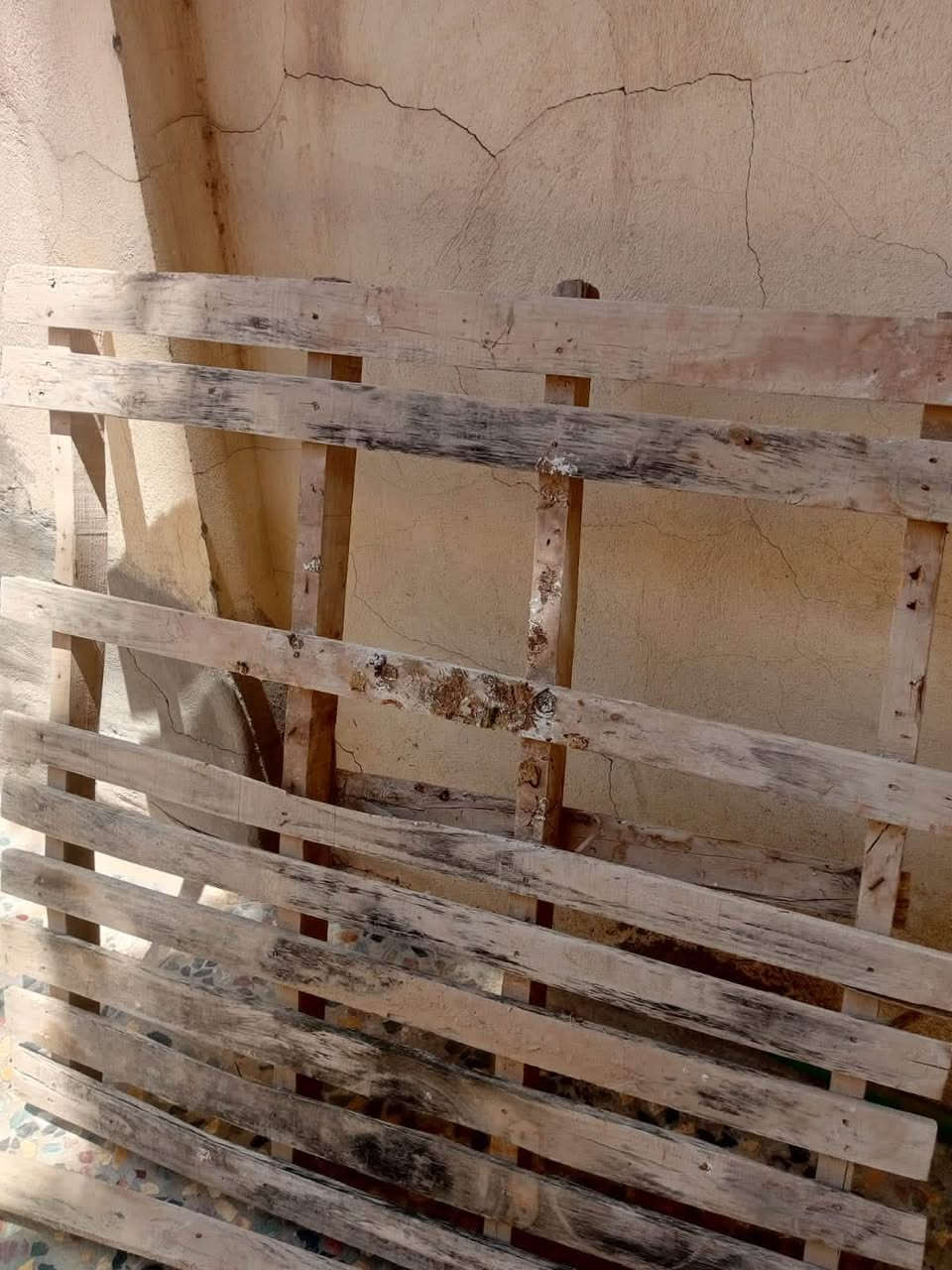 ميز مبرده مع سكيبه السعر ٢٠ وبيه مجال


**إذا كنت صاحب هذا الإعلان وتريد حذفه لأي سبب، رجاءا أرسل رسالة إلى الدعم الفني**