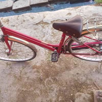 عبد الحليم • حجم ٢٧ • رجالي