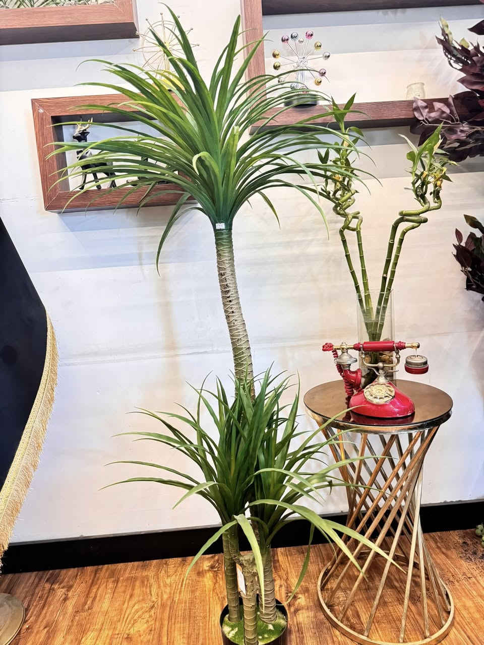 🌿✨ شركة الشارقة للديكور ✨🌿
تقدم لكم أجود أنواع النباتات الصناعية
والسنادين المصنوعة من الفوم التركي الأصلي 🌱
🌟 جودة عالية
🌟 تصاميم عصرية تناسب جميع الديكورات
🌟 خفيفة الوزن ومقاومة للعوامل الجوية
🌟 بأسعار منافسة ومناسبة للجميع
📍 يتوفر توصيل
📞 للحجز والاستفسار. ***********
