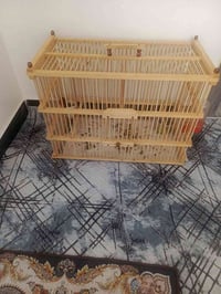 قفص كبير • نضيف • مقدادية شهربان