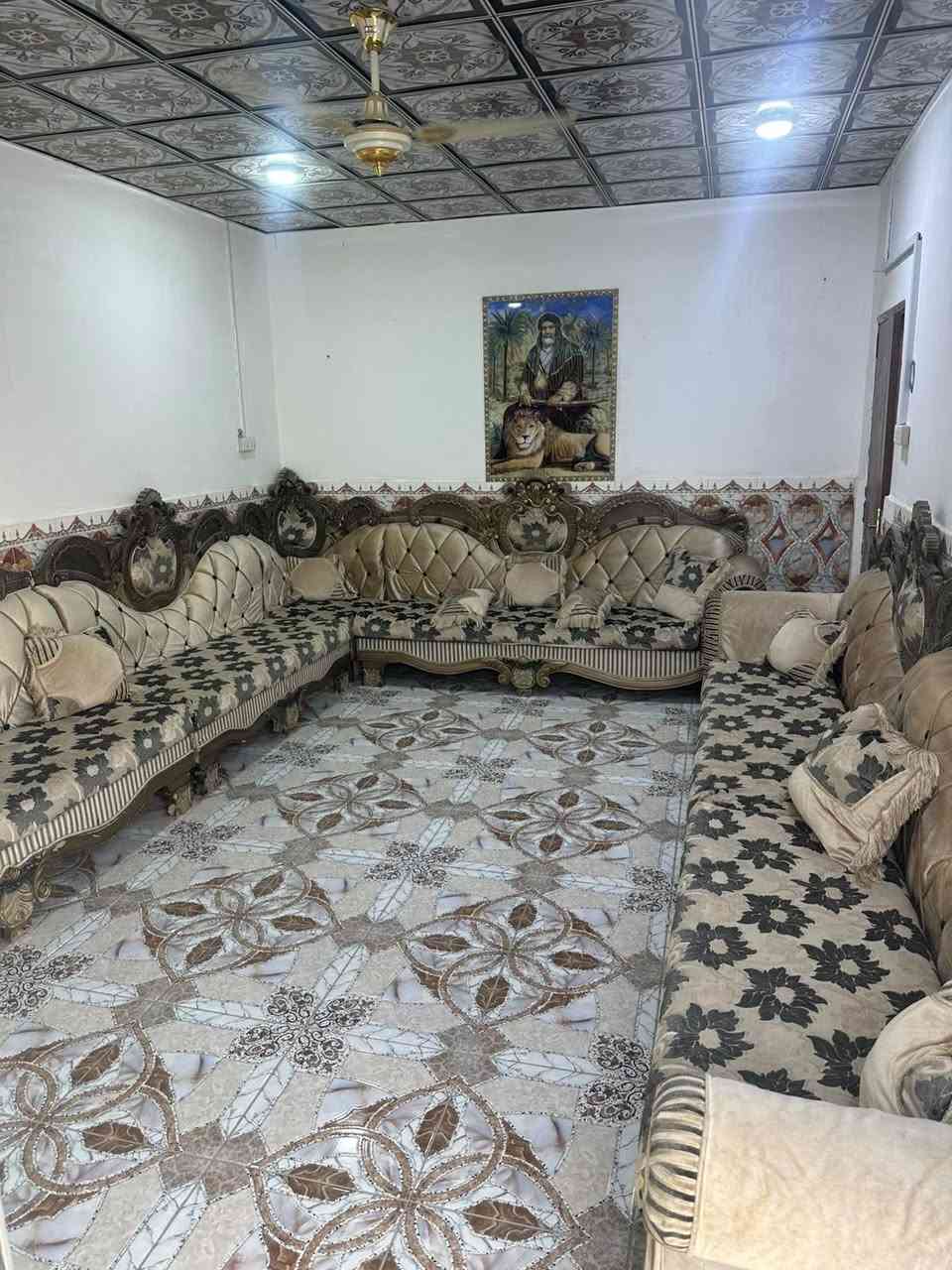 السلام عليكم تخم قنفات زان ملكي جديد استخدام  قليل السعر 650 وبيه مجال /***********
