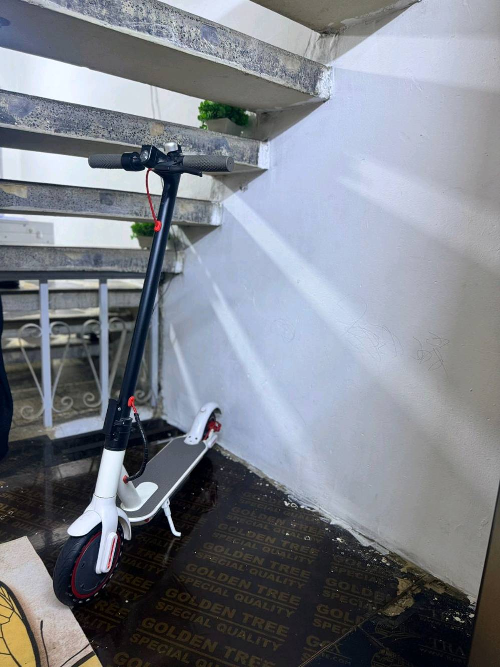 عنوان حي جامعه 