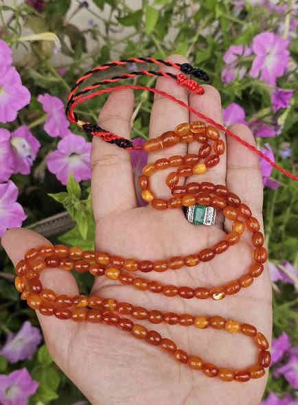 كهرب ألماني حر قديم مكفول أنتيك🇩🇪 👑 خام ألماني قشطة وعسل حبات شجري حبات ملطخة🇩🇪ألوزن الصافي ١٩،٥ غرام ٩٩ خرزة بيض حمام🇩🇪ارخص الماني حر أنتبك بالسوق كلة ماكو غرام ب ١٥ دولار ولاحتى ب٢٠ دولار💵💸 سعر الغرام بس ١٥ دولار ألسعر ٤١٥ ألف دينار قفل 💵💸 وتس اب ***********
