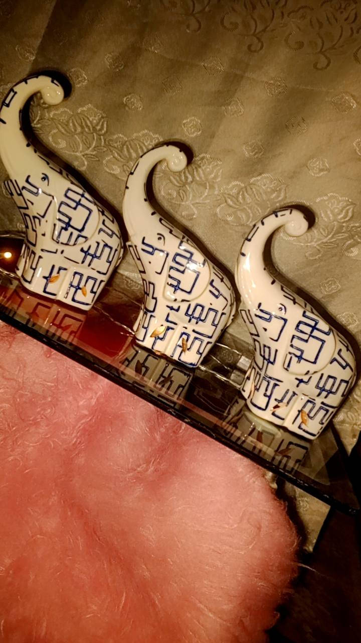 تحفيات ويصيرن مبخره سعر القطعه الف دينار


**إذا كنت صاحب هذا الإعلان وتريد حذفه لأي سبب، رجاءا أرسل رسالة إلى الدعم الفني**