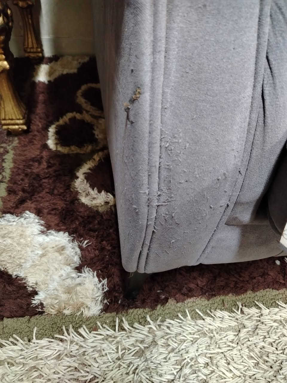 تخم تركي للبيع


**إذا كنت صاحب هذا الإعلان وتريد حذفه لأي سبب، رجاءا أرسل رسالة إلى الدعم الفني**