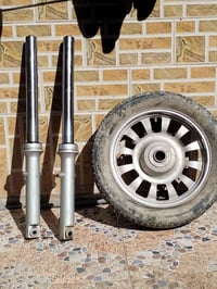 فحل • دبلات • نجف