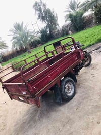 ستوته دايوان • موديل 2016 • أوراق أصلية