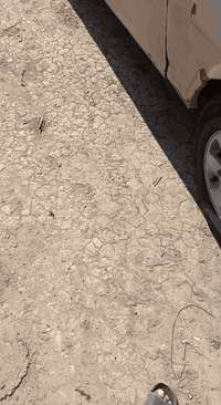 سلام عليكم  كيه بريجوو للبيعع مديل 97 وتساب ***********
