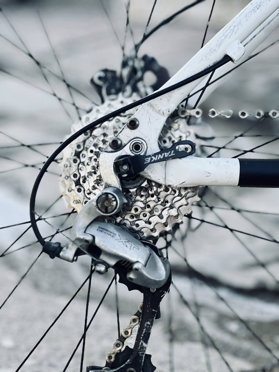 بايك استعراضي من شركه كونه غني عن التعريف للبيع او المراوس
بريكات شيماناو هايدوليك  دبل ستعراضي شغال رگبه مضلع سبع ألوان ستيرن ستعراضي سبع ألوان 
عقرب شيمانو زنجيل وذراعات ودرسات مزوده 
مكينه 9 نمر وبطيخات سبع ألوان صوت طرب 
بايك مفول علي تزويد خير من الله 
مكاني بغداد بسمايه 
السعر قيم بما يرضي الله


**إذا كنت صاحب هذا الإعلان وتريد حذفه لأي سبب، رجاءا أرسل رسالة إلى الدعم الفني**