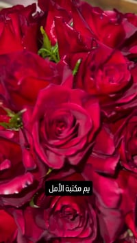 وصل حديثاً في مكتبة الأمل  🛒 متوفر حالياً بـ [مكتبة الأمل] 📦 توصيل لكل...