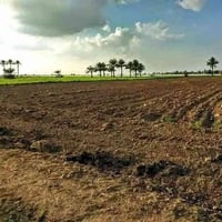 ١٢دونم • طابو زراعي • ماء وكهرباء