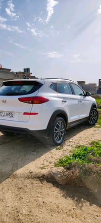 توكسون • ٢٠٢٠ • رقم اربيل