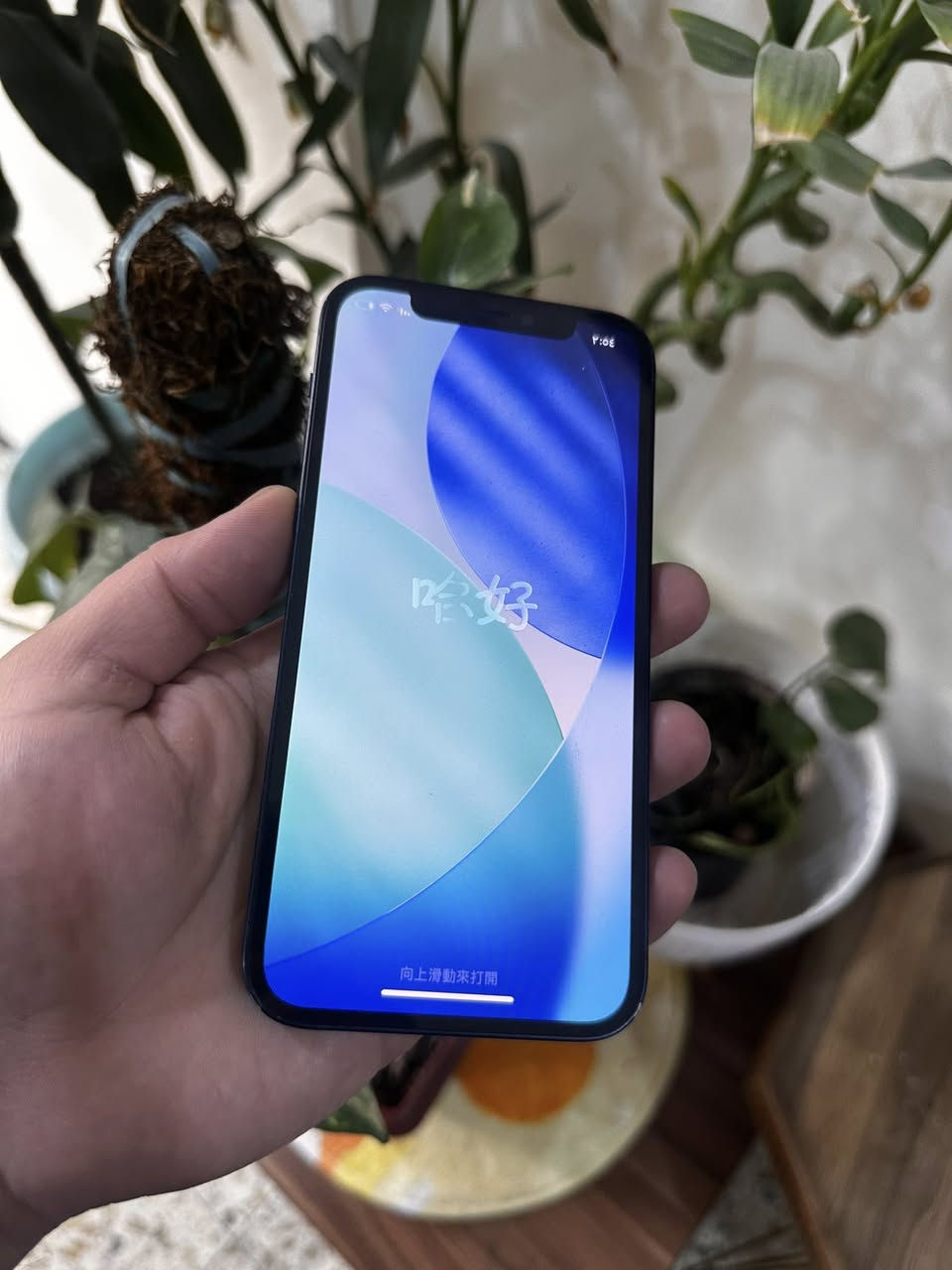 12 عادي بلاك اسود جهاز نضيف وتر بروف ميعبرًهوهً
حدثته وطلع مبدل شاشه بلعدادات كلشي بيه شغال 
وبيه فطر خفيف ممبدل بلكلاسه  ميبين بلصور خفيف كلش 
بطاريه 75 ذاكره 128 معبر هوه وتر بروف 
سعره كلش مناسب 
260 الف 
بغداد الدوره توصيل ماعندي تجي وتفحص وتاخذه كلشي شغال 
الفيس ايدي شغال بس مرات ميربط مره ومره 

رقمي بيهً وتساب ***********
بغداد الدوره او المنصور 
تفاصيله مكتوبه لحد يدخلي خاص اتصال
