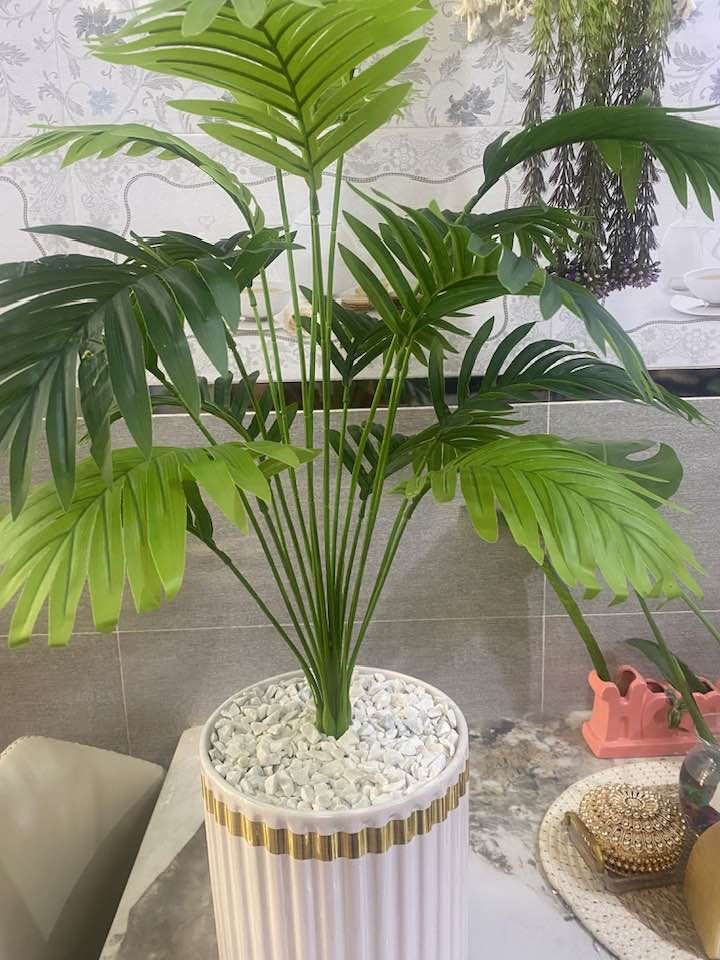 شجره السايكس يتوفر خدمه توصيل 🚚


**إذا كنت صاحب هذا الإعلان وتريد حذفه لأي سبب، رجاءا أرسل رسالة إلى الدعم الفني**