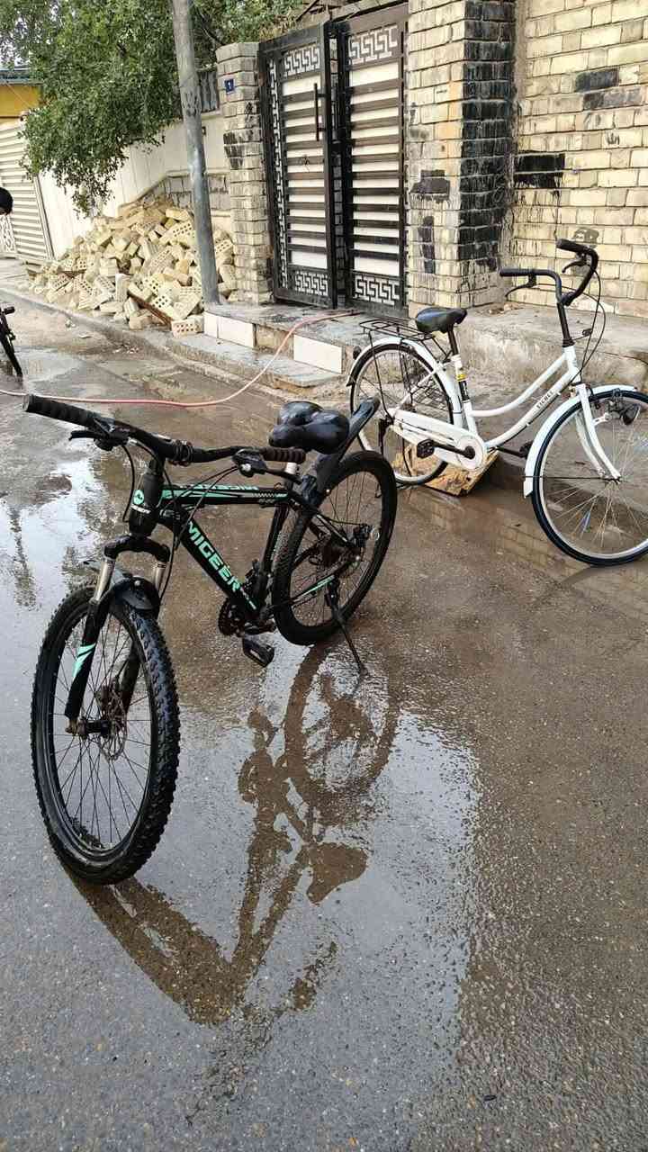 مراوس شعندك نزل


**إذا كنت صاحب هذا الإعلان وتريد حذفه لأي سبب، رجاءا أرسل رسالة إلى الدعم الفني**