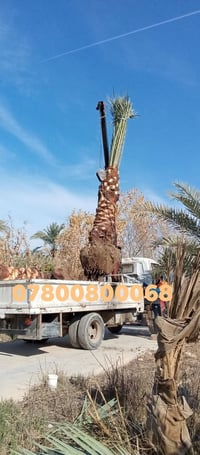 واسط الصويره • مرجوحه • ارتفاع من ١م