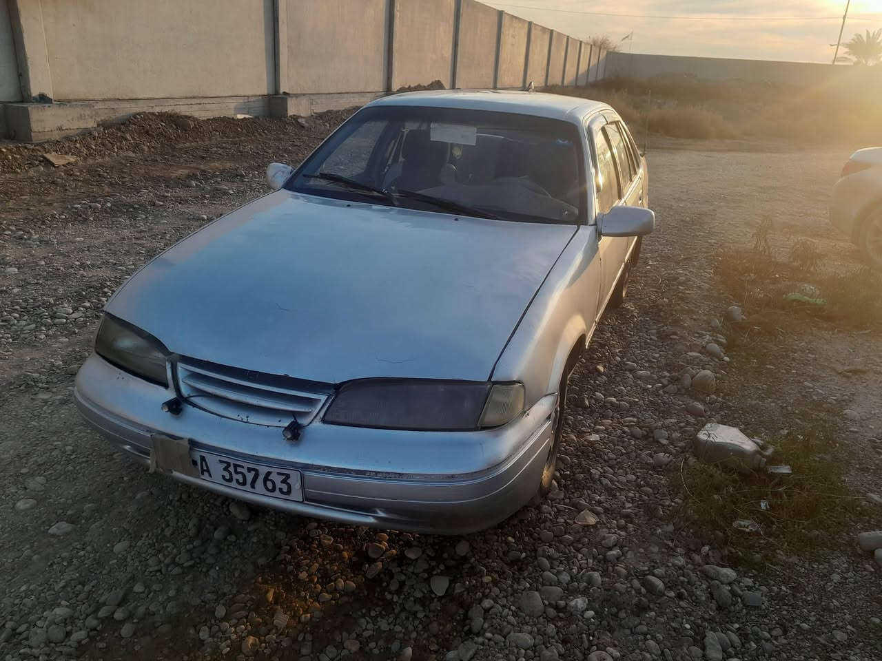 للبيع دايو فراشة صلاح رقم  الدين دولي تحويل مباشر سعرها ٢٨ ورقه  ***********
