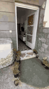 تحية طيبة🌹
✅ دار للبيع بمساحة "100 متر"  متكون من طابقين✅
يتكون الدار من 3 غرف نوم - مطبخ - مناور عدد ٢ - حمامات في كل طابق-صالة
البيت يحتوي على خدمات كاملة من ماء. كهرباء. تبليط
📍العنوان : التاجي_ مدخل قرية نديم مقابل شركة نصر    .
📃 سند 25
🌀السعر المطلوب: 90 مليون دينار عراقي وفيه مجال.
✍🏻للاستفسار الاتصال على الأرقام التالية : 
📲***********       
 📲***********
✅أو مراجعة مقر المكتب الكائن في (العبايجي - المصلحية- مقابل شارع البحطاب)
