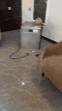 تخم مستخدم قليل 
بيع سبب التحويل 
حي الجهاد 
***********
