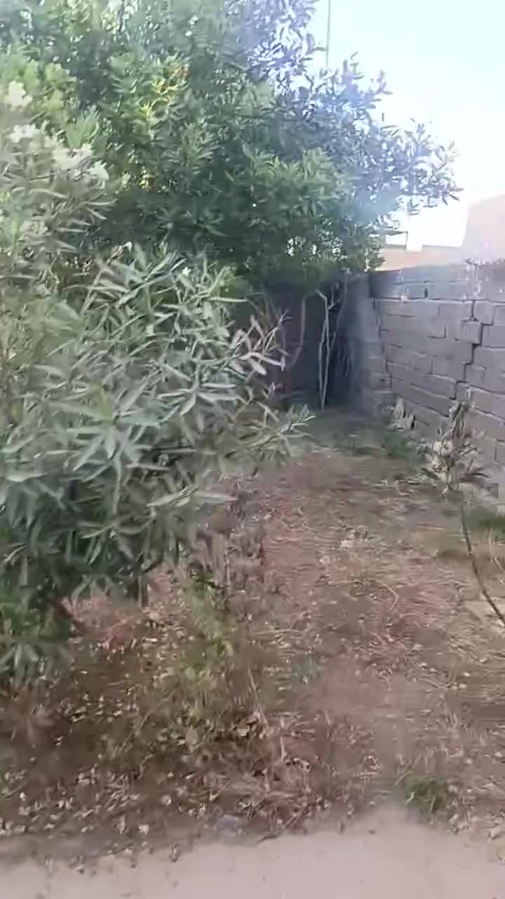 السلام عليكم بيت لليجار مكان رشاد قريب عله شارع تانكي وشارع التكاتك ايجاره  150رقمي ***********
