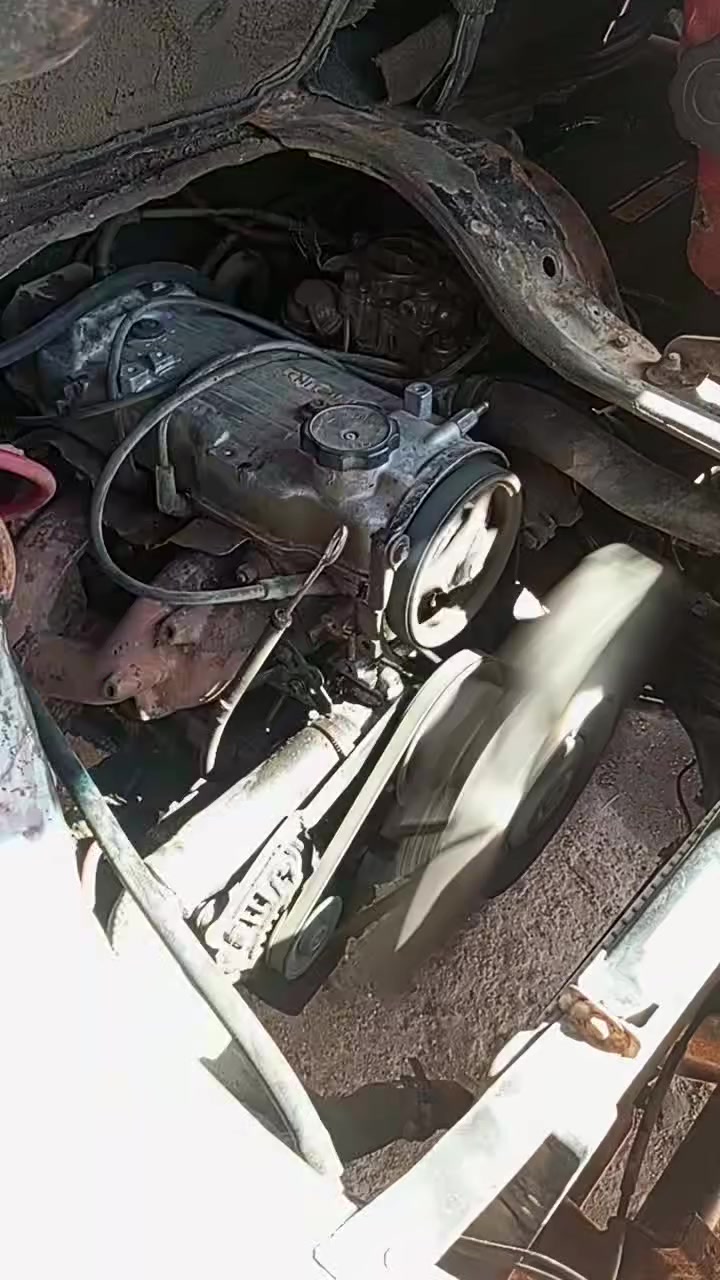 اخوان شراي يخابر لا يعلق والارقام بيهن حتى واتساب كيه هونداي مديل ( ١٩٩٤ ) رقم احمر صدامي رقم بغداد وحتى مكان راعي سياره بلسنويه مكتوب  رقم شاصي موجود وسنويه جبيره اصليه  ماندل راعي اتعهدبلمكاتبه عن سرقه وطلب عشاير مكينه مستوبيشي جديده كير جديد حداده جديده كهربائيات شقاله تخم تاير ٨٠% اكسن جديد شاصي كفاله ويل كب باتري جديد مكان سياره البصره وتجي وتطلع تراي يلا تحط فلوسك ترايك وين مايعجبك سياره كبل للشارع اصله 11 راكب وضايفيله كشن صايره 14 راكب السعر ( ١٥ ) وبيه مجال حك جيه ( *********** ) ( *********** )
