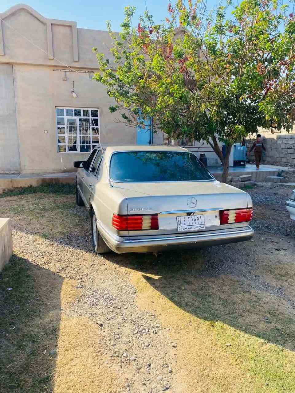 مارسيدس رئاسي للبيع
رقم ألماني مشروع وطني سنويا ل27 شرط التحويل 
محرك وكير بطه محرك بدايه بخار
صدر نص عمر
تواير طخم جدد 
السياره كاعده وحلوه. #السعر 45 ويرهم مراوس 
#للاستفسار ***********
