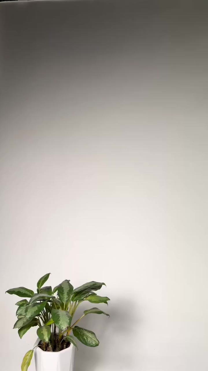 🚪✨ ستارة الباب الشبكية الذكية

تعبت من الحشرات بالصيف؟ الحل البسيط وصل!

✅ مرور سهل بدون استخدام اليدين
✅ تمنع دخول الحشرات 🦟
✅ تسمح بدخول الهواء
✅ تركيب سريع بدون أدوات
✅ لاصق قوي + دبابيس تثبيت

💰 السعر فقط 12 ألف 
🚚 توصيل مجاني

اطلب الآن:
https://rolemall.com/?strung=x1ptJYMgootquality12478

#ستارة #عروض #تسوق #البيت #منتجات


**إذا كنت صاحب هذا الإعلان وتريد حذفه لأي سبب، رجاءا أرسل رسالة إلى الدعم الفني**