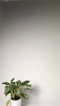 ستارة شبكية • تمنع الحشرات • تركيب بدون أدوات