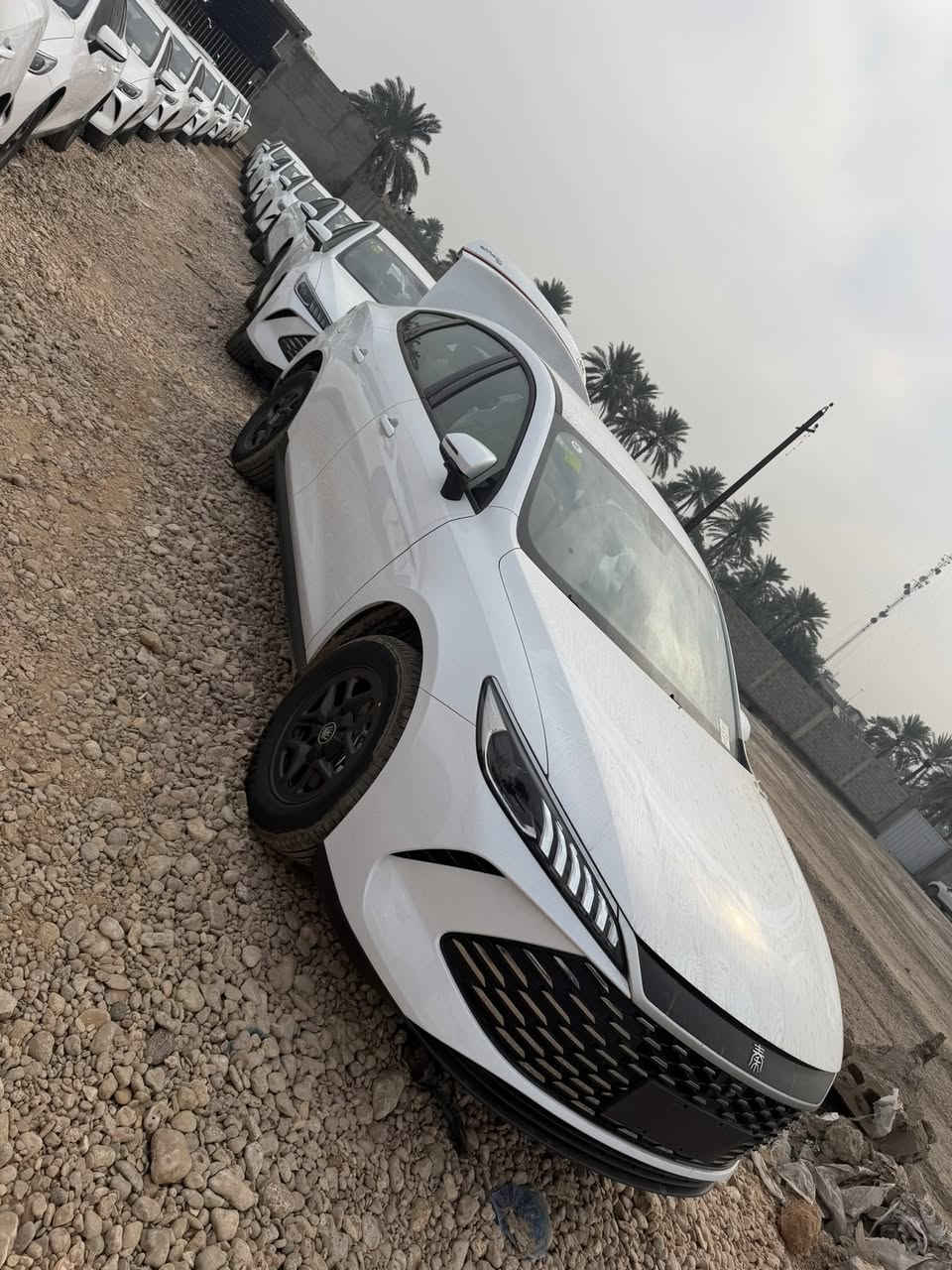 توفر الان وجبة جديدة 

بي واي دي 2025

جن بلاس ابيض داخل ابيض ملكي🔥🔥🔥😄💣

ملحقات كاملة

بصمة كارت شاحن

كميات خير من الله

متوفرة 

لوّن ابيض 

بسعر تنافسي

17.400.000

فقط  صافي 

العنوان بغداد معارض البياع المدخل الرئيسي مقابل محطه وقود السيديه 

الفرع الثان 📍اليوسفية قرب سيطره 75مدخل بغداد 

للاستفسار***********

***********
