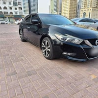 ماكسيما • ٢٠١٦ • قمه النظافه