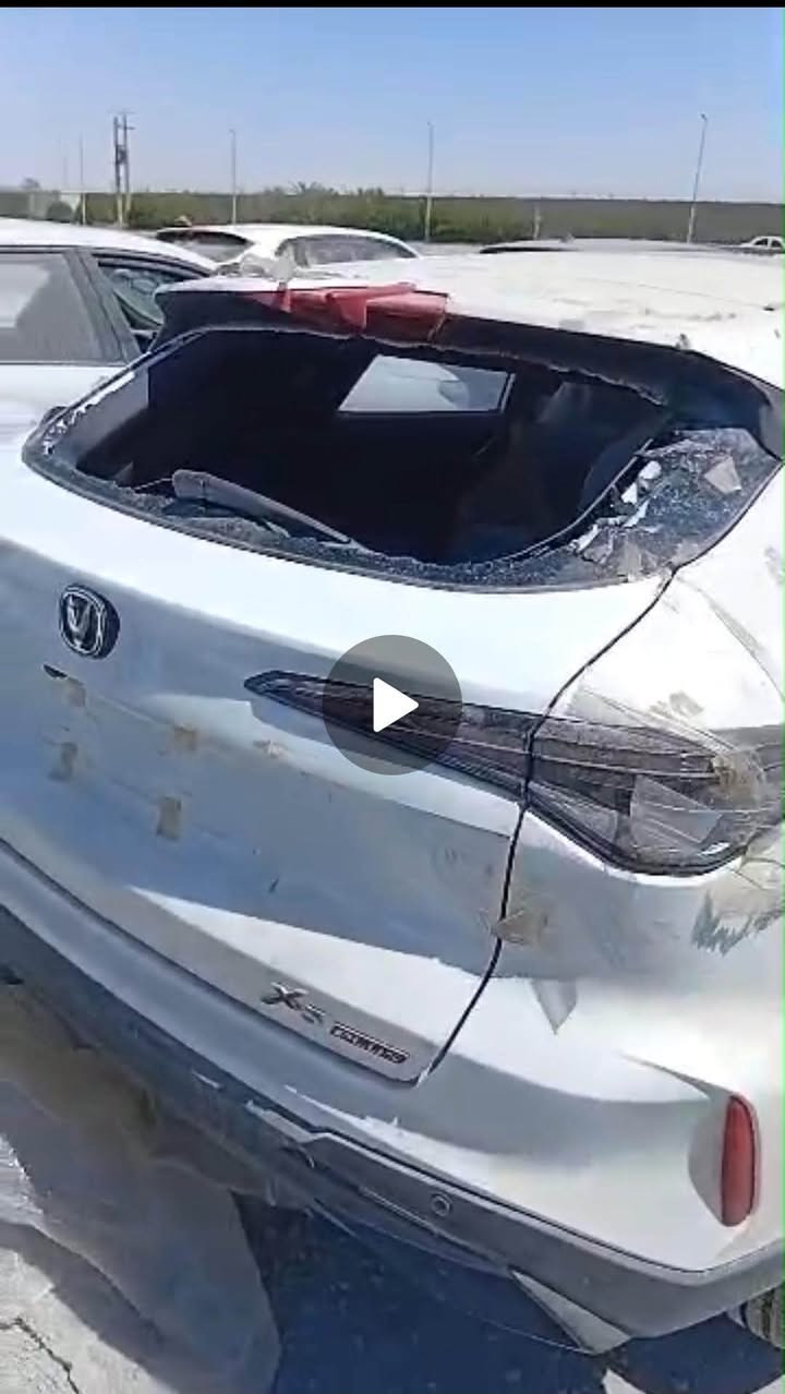 السلام عليكم
جامة الخلفية لشاجان 26


**إذا كنت صاحب هذا الإعلان وتريد حذفه لأي سبب، رجاءا أرسل رسالة إلى الدعم الفني**