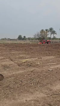 ١٤٠٠م • سند زراعي باسمي • واجهه ٦١م