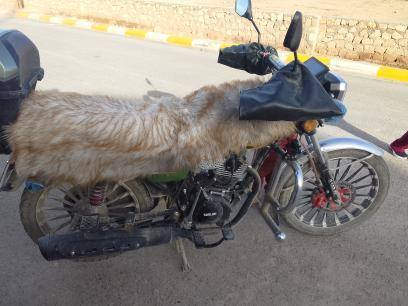 مطور سولنك للبيع مطور مصار شهر من شديته محرك 200 جواكيج لون زيتوني باقي تفاصيل خاص ل


**إذا كنت صاحب هذا الإعلان وتريد حذفه لأي سبب، رجاءا أرسل رسالة إلى الدعم الفني**