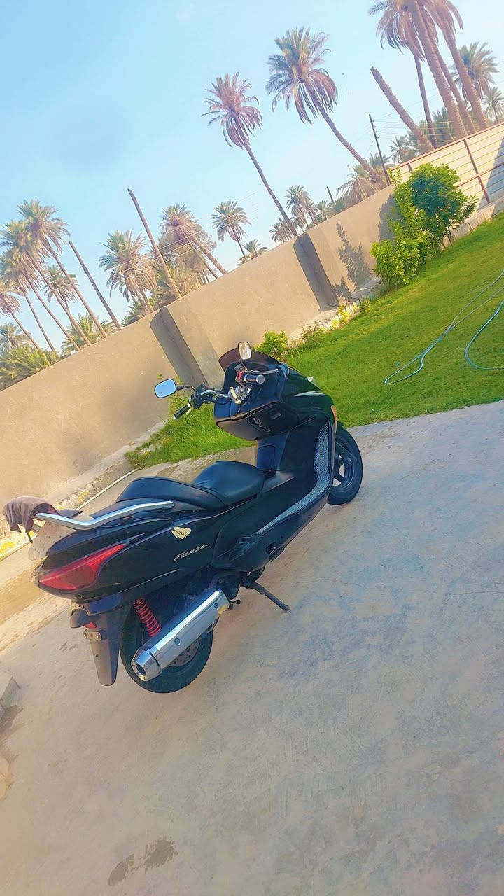دراجه فورزه صفر ثمانيه بلاديه مكفوله كلشي شغال   كهربائيات كله شغاله بانزين اصلي محسن دير له عميه مكينته مامفتوحه جديده سعر خاص


**إذا كنت صاحب هذا الإعلان وتريد حذفه لأي سبب، رجاءا أرسل رسالة إلى الدعم الفني**