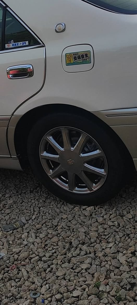 سلام عليكم ويل البيع اصلي لا صبغ ولا جلي البيع مكان مشخاب ***********
