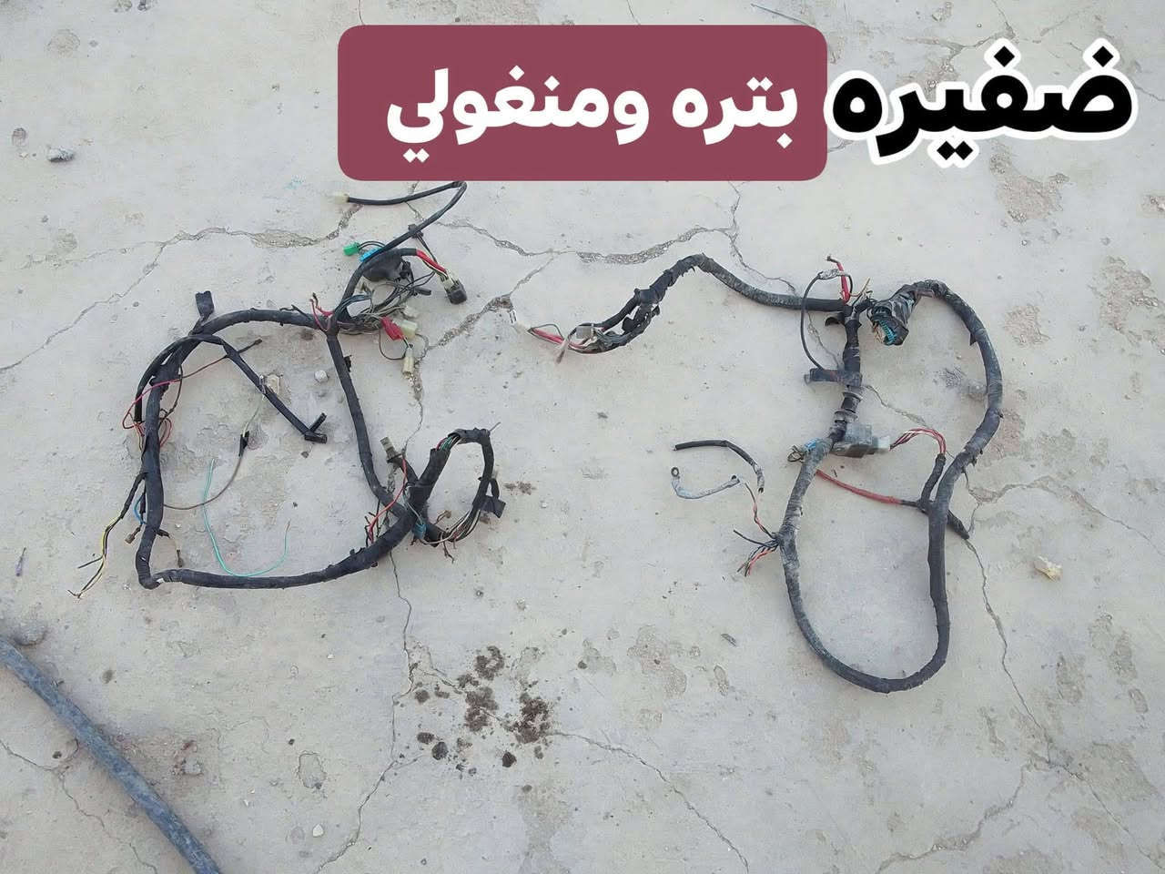 للبيع كلمن وسعره مكاني سيد خضير


**إذا كنت صاحب هذا الإعلان وتريد حذفه لأي سبب، رجاءا أرسل رسالة إلى الدعم الفني**