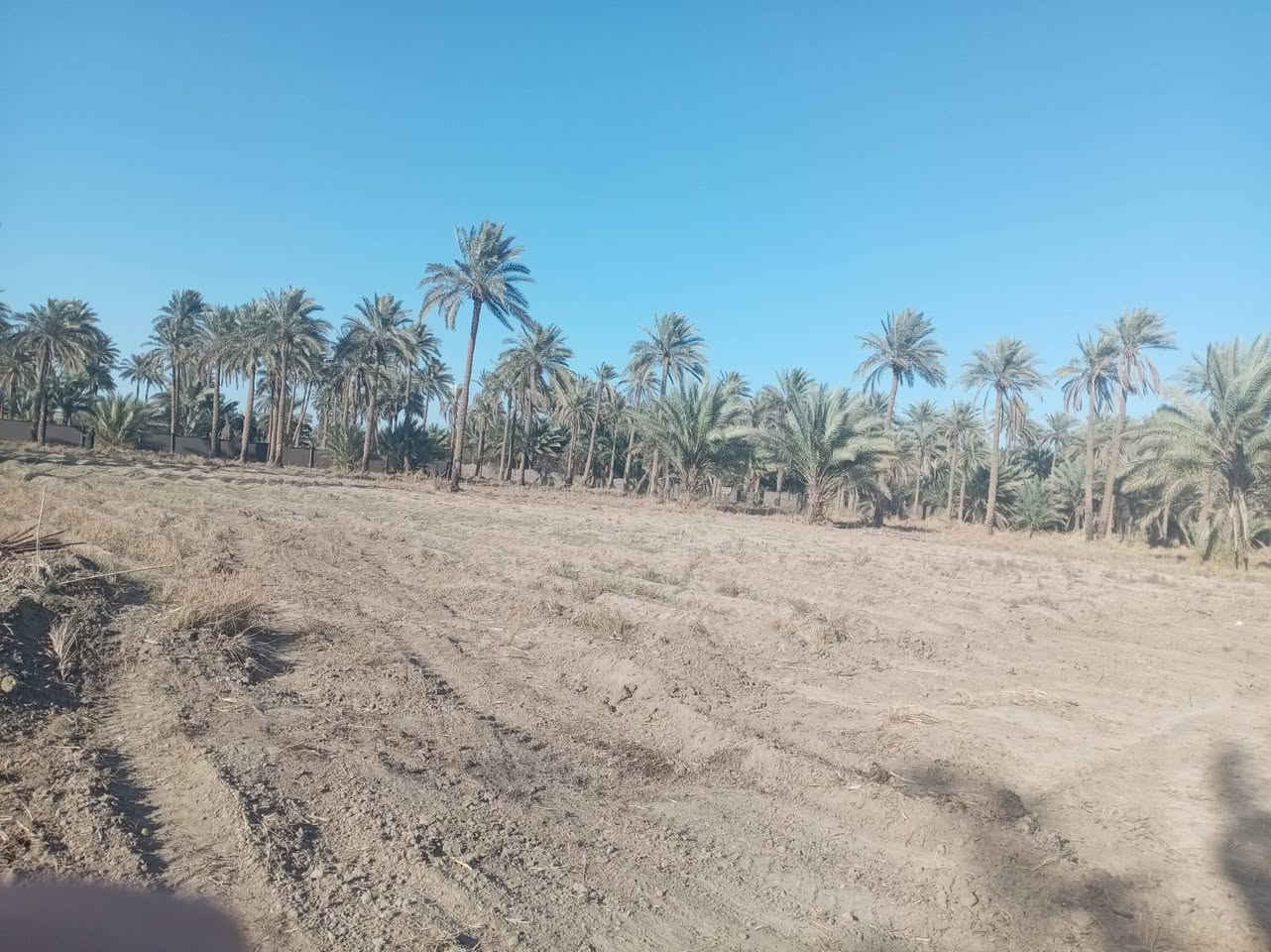 قطعه أرض للبيع دونم ونص لمكان رشيده قرب مدرسه الوطن العربي للاستفسار ***********
