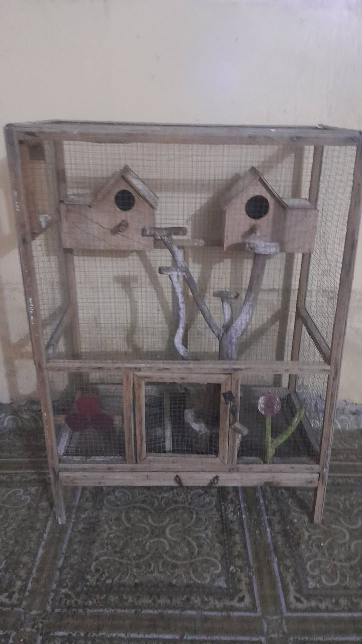 السلام عليكم قفص طيور حب بي بيتين وشجره السعر 25 وبي مجال الرقم *********** بي بس وتساب
