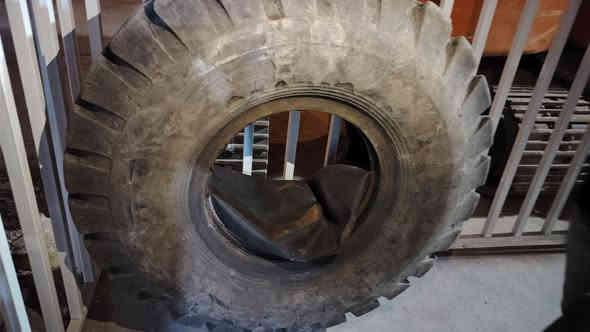 للبيع تخم تاير  25_00_18
***********
***********
