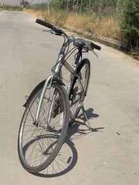 جينت • ٢١ نمر • حجم ٢٨