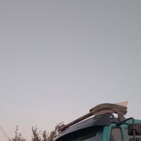 تاج البي نضيف نضافته 100٪ للبيع او مراوس بدرع 07835757631