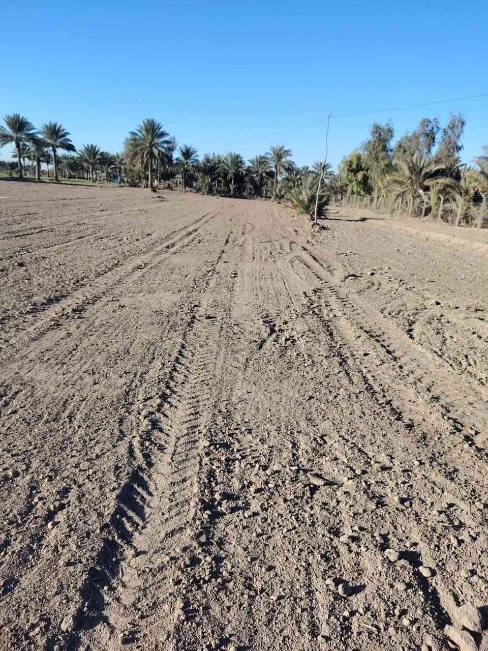 ارض ٣ دوانم سند ٢٥ باسم شخص واحد حله جامعة بابل قرب سيطره حله نجف منطقة الحكانيه موجود مي وكهرباء وتبليط عرض الشارع الداخلي ١١ متر باسم شخص واحد موجود مدارس وصيدليات واسواق ومولده كافه الخدمات الشراي يتفضل *********** خاص تبعد عن الشارع حله نجف كيلو ونص
