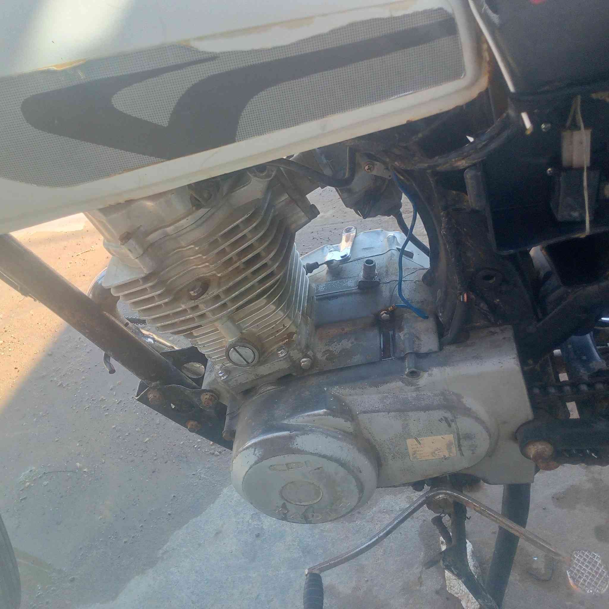 سلام عليكم دراجه للبيع مديل 14 دراجه خير من الله ابيعلك كوم حديد ب 300 وبيه مجال للطيبين  اروراقه مكبوسه  بس هنه بلجيس شاصيه لا ملحوم ولا بيه فطر مكاني كوت حي الجهاد الزنابره  رقم  ***********
