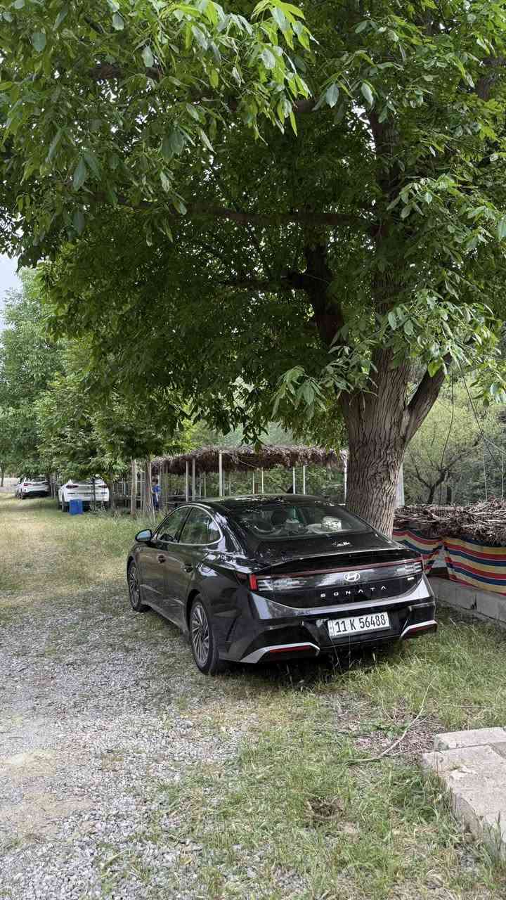 🚗 هيونداي سوناتا 2024 هايبرد 

ماشيه 26 الف ميل فقط 

 • محرك هايبرد اقتصادي + أداء ممتاز
 • استهلاك وقود منخفض جدًا 💰
 • شاشة كبيرة + كاميرا 360
 • أنظمة أمان متقدمة (مساعد فرامل الطوارئ – نقطة عمياء – تنبيه خروج عن المسار)
كشنات كهرباء + تدفئة 
قطعة تبريد خلفية
ضرر السياره سطحي وخفيف جدا 
السعر  190  ورقه وبيها مجال 
صور الحادث موجوده وهذا رقم الشاصي هم السيارة اني مستوردها دخول جديد صار شهر 
KMHL34JJXRA088531
***********
