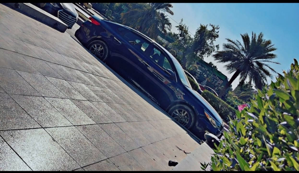 من رخصة الادمن المحترم 🌹
كيا اوبتما 2020 لون نيلي 
وارد أمريكي حادثهة فقط دعامية امامية وبارد بخشم البنيد بدون لغود بدون شواصي بدون ايرباك 
هنا بالعراق صار بيهة شخط باب السايق والجاملغ فقط رش بدون معجون تعدلن 
ماشية : 80.000  الف ميل 
مواصفات اعتيادية 
كروز مثبت سرعة 
كار بلي 
شاشة 🖥️
كامرة خلفية 🎥
وضعيات قيادة ( ايكو . سبورت . نورمال ) 
رادارات 360 درجة 
اوتو ستوب 
نقطة عمياء بالمري الجانبية 
مكينة 2400 GDI نشطة كلش 🚀🚀
السيارة عليهة : 
تخم تابر امامي خلفي صار سبوعين من شديتهن 380 الف 
ادامة كاملة للسيارة ( بلكات . تنظيف نوزلات . تنظيف جويتر . تنظيف ولفات . فيت بم اصلي . عبوة كاملة جديدة للمحافظة على السيارة ) 200$ 
بانزين كلة محسن + سوبر 
دهن امزويل تبديلتة 100 الف كل 3000 ميل 
السيارة كلش مداريهة ومعتني بيهة 
( كير . مكينة . حجر بيئة . صدر ) كلهن اكفلهن 
.
تفاصيل اكثر اتصل او دزلي ع واتس وعيوني الك 🖤
..
مكان السيارة بغداد زيونة 
رقمي ☎️ : *********** 
متواجد اتصال + واتس 
اعتذر على الاطالة وكل الهلا بيكم 🖤🌹
