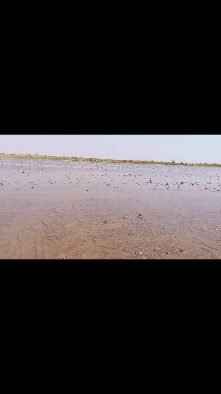 سلام عليكم يالله
اخوان يوجد مكينه لتعديل الاراضي الزراعيه بتقنيه ال جي بي اس شرط سگي ***********
والله يوفقك الجميع
