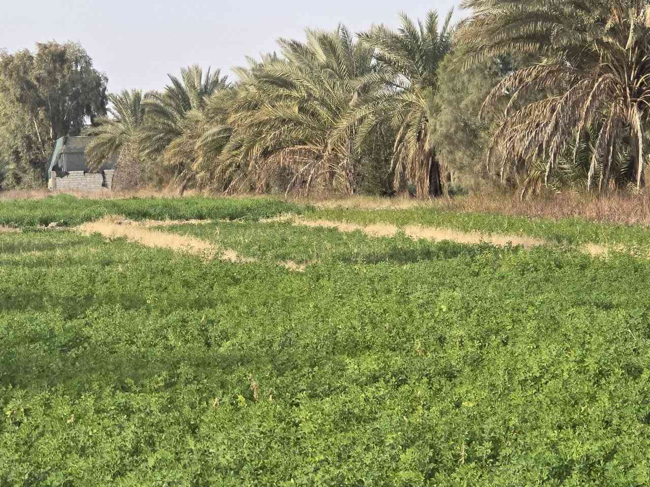 هذا إعلان مرتب وجاهز للنشر بصيغة أوضح وجذابة:
قطعة أرض للبيع
المساحة الكلية: ٥ دونم
🔹 البيع ممكن ٣ دونم أو كامل المساحة
🔹 سند العقار: ٢٥ زراعي
🔹 متوفر كافة الخدمات
📍 الموقع: الصياحية – الحلة، قرب كوين بارك
📞 للاستفسار: ***********٠
