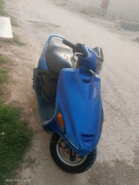 فراشة ازرق اللون للبيع للتواصل 07825485801 واتساب